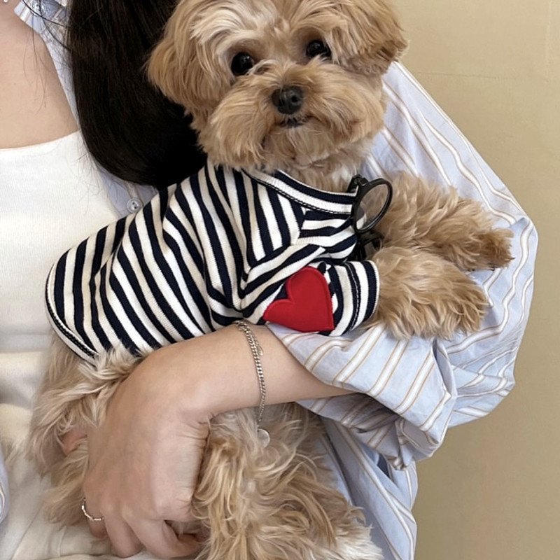 Sleeveless Undershirt - Chaleco para Perros Pequeños, Ropa para