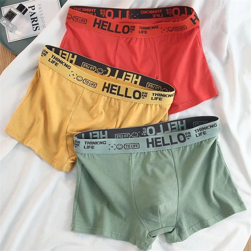 10 piezas/ropa interior para h - Boxer Brief Pack Cotton reseña y precio