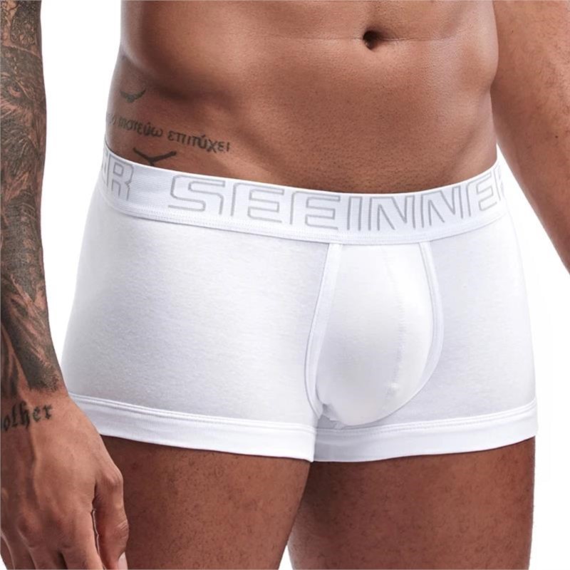 Seeinner calzoncillos Boxer pa - Boxer Brief Pack Cotton reseña y precio