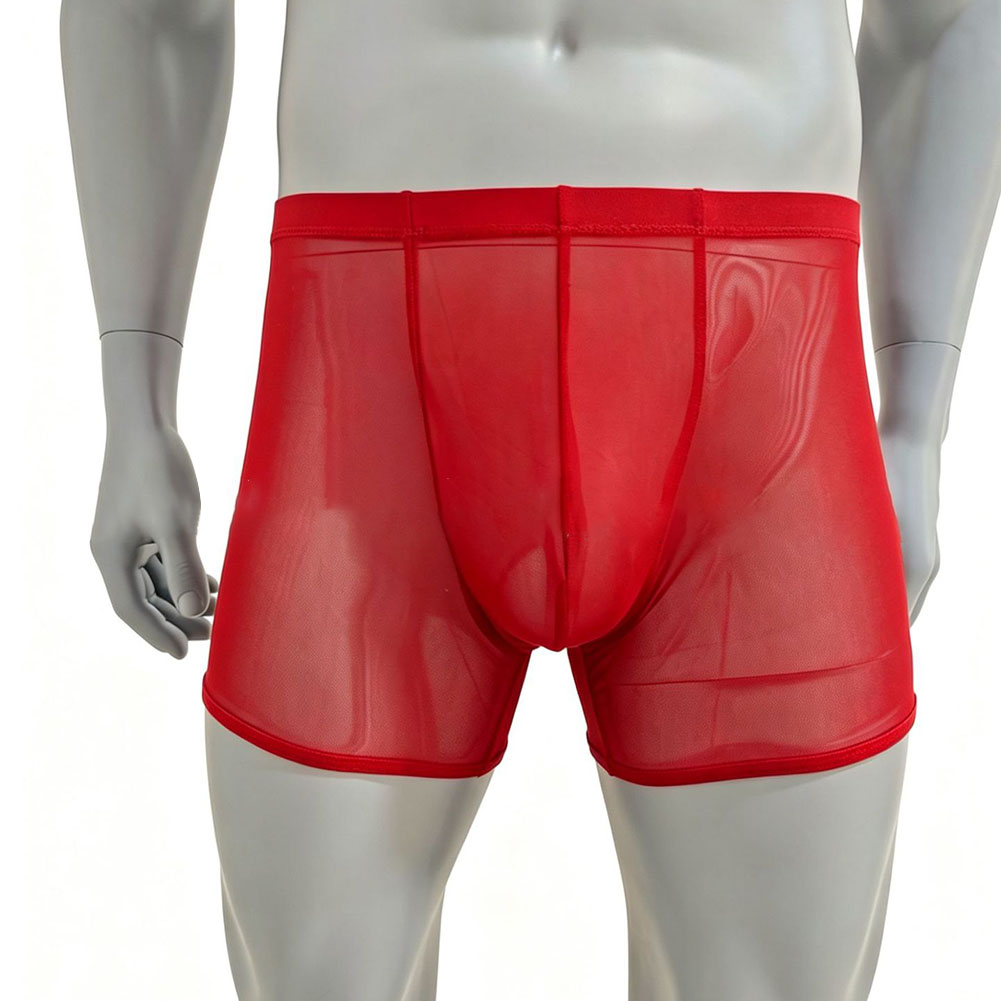 Calzoncillos bóxer de malla tr - Long Leg Trunk Men reseña y precio