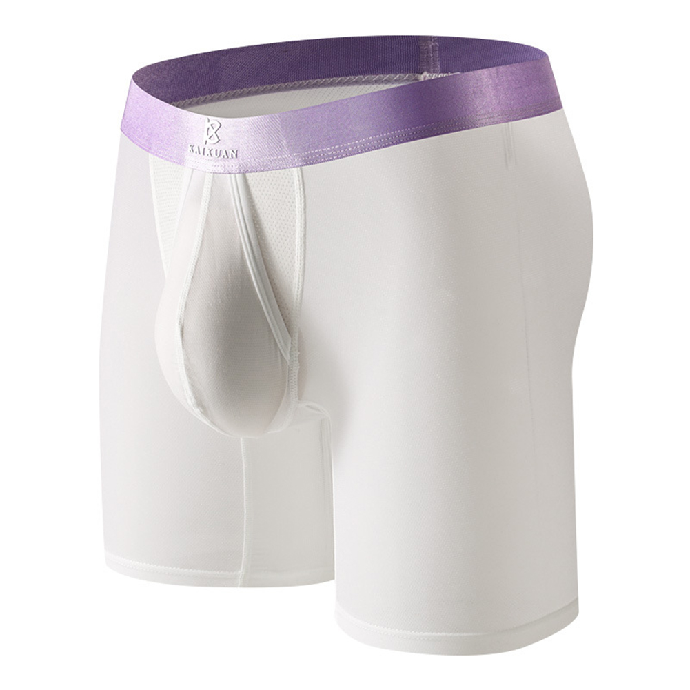 Fitness correr hombres Boxer r - Long Leg Trunk Men reseña y precio