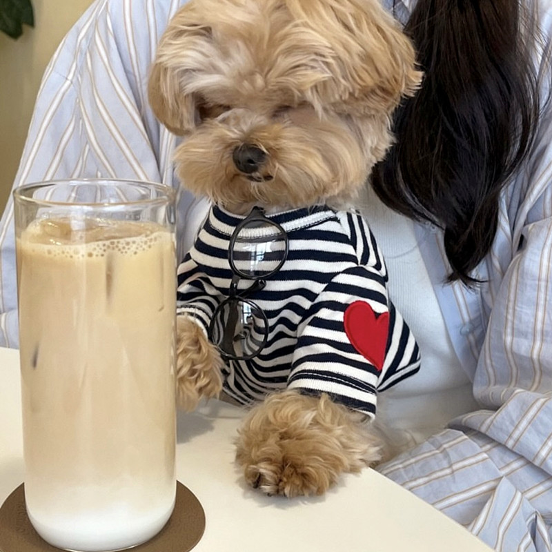 Chaleco para Perros Pequeños,  - Sleeveless Undershirt reseña y precio