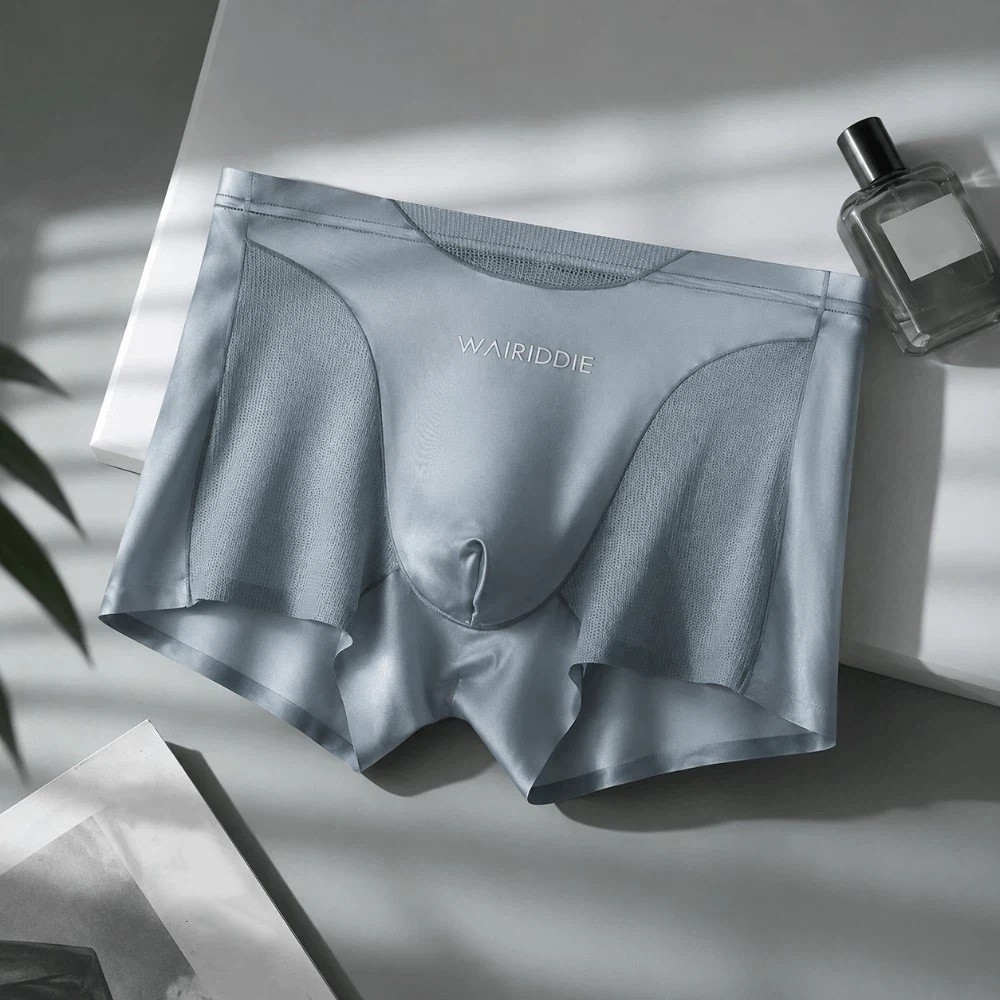 Ropa interior de malla de seda - Mesh Sport Boxer reseña y precio