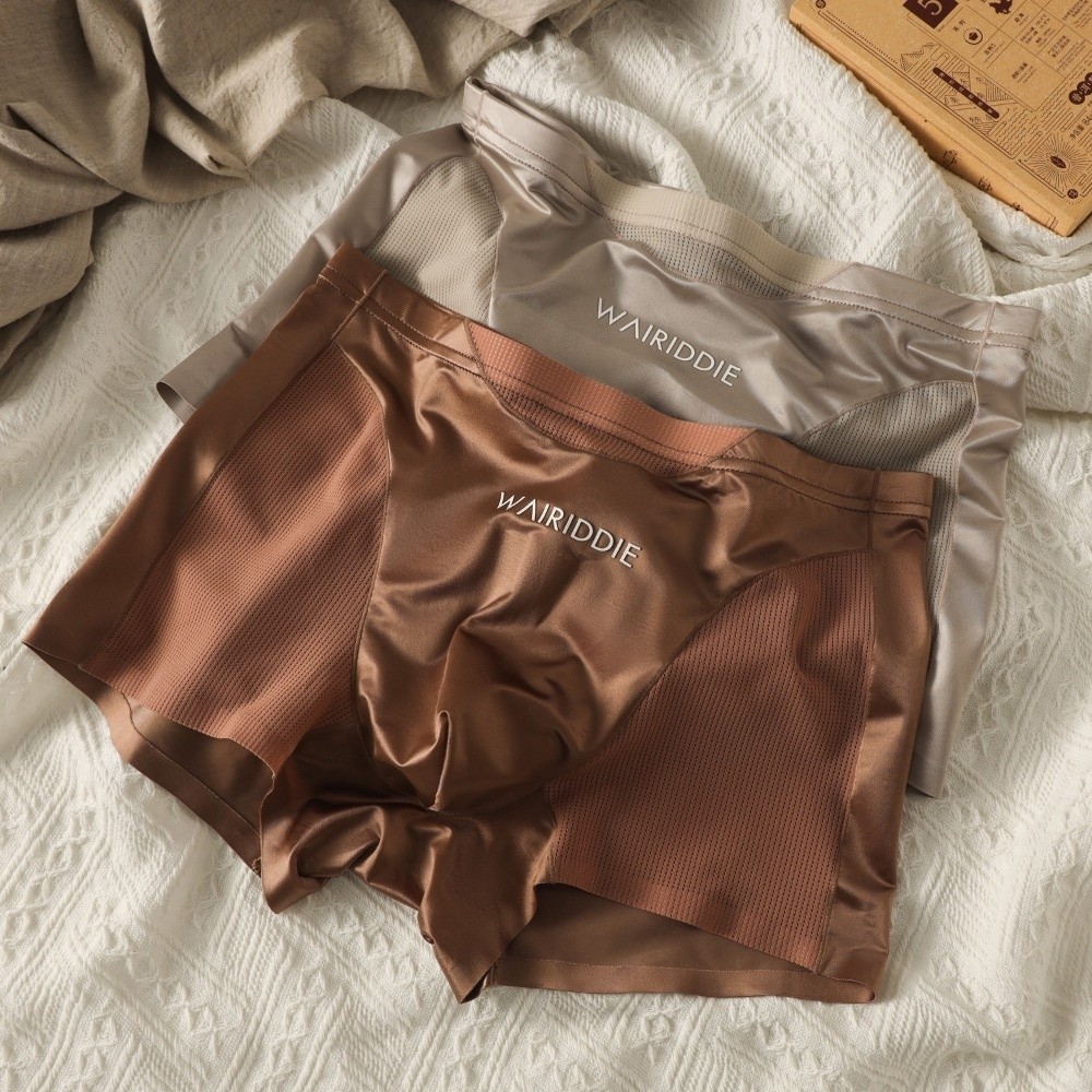 Ropa interior de malla de seda - Mesh Sport Boxer reseña y precio